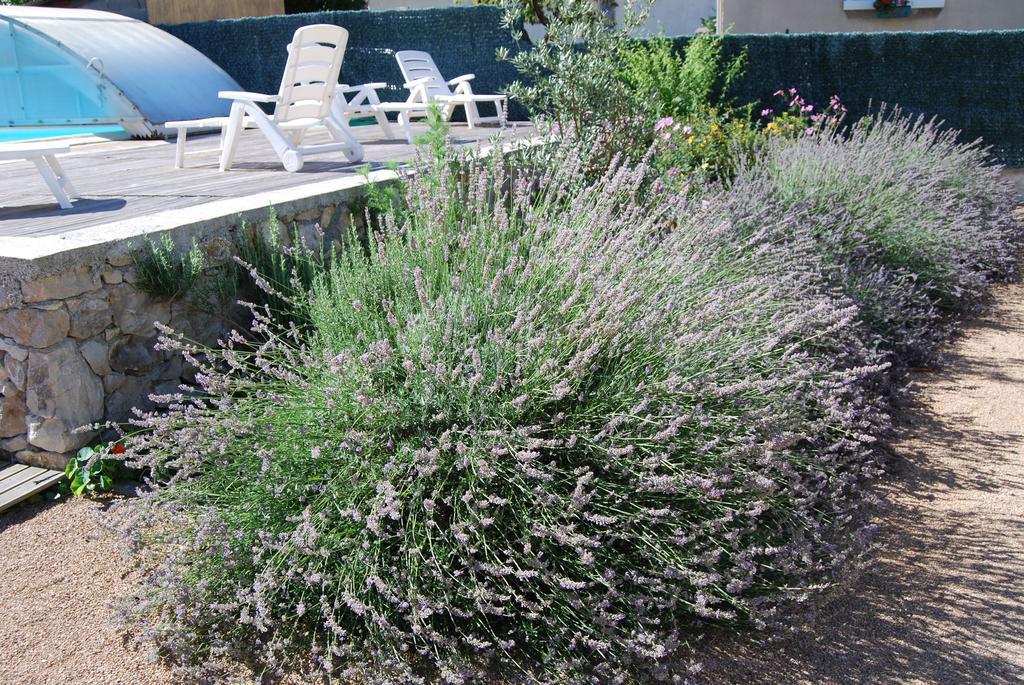 Les Terrasses De Castelmerle Niaux Exterior photo